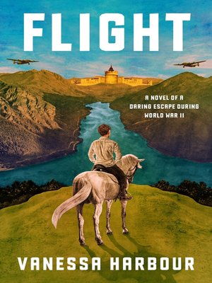 cover image of Flight